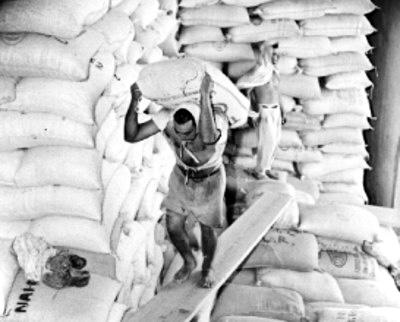 «Gladiadores» Cuento ganador del Concurso