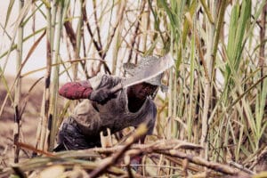 "Lincon La Voz", un viaje musical de Alberto Guerra Naranjo